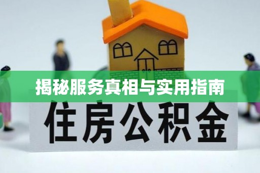 淡水揭秘服务真相与实用指南