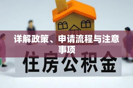 淡水详解政策、申请流程与注意事项